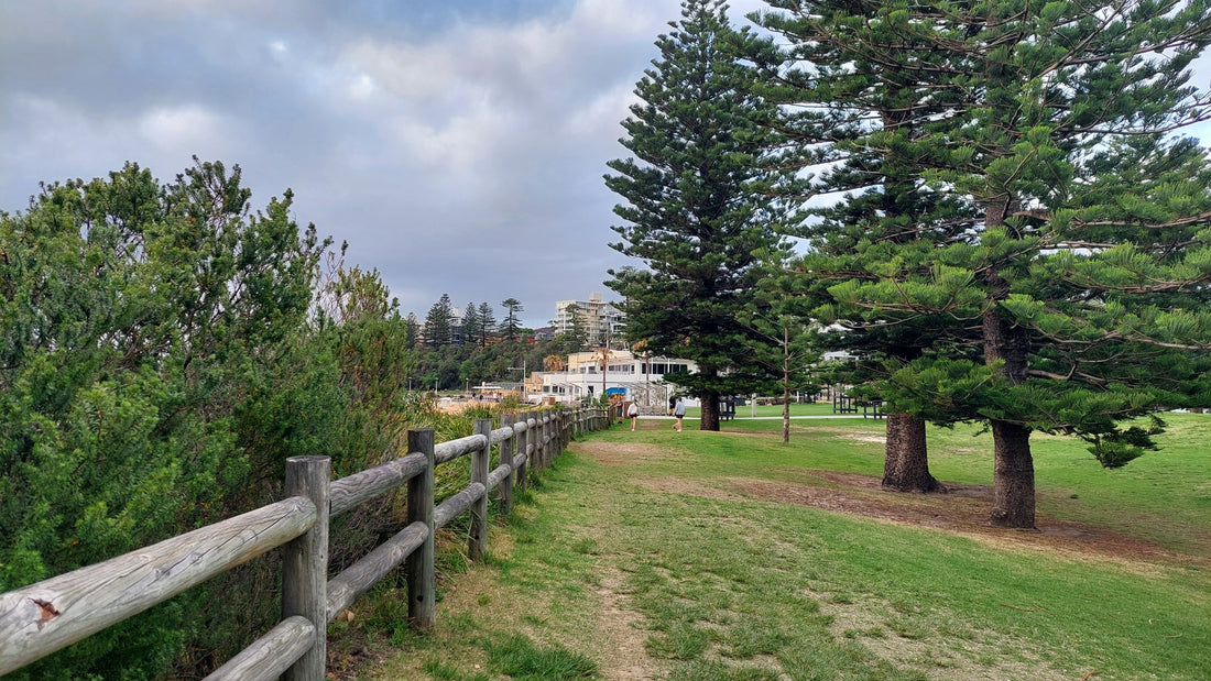 Monday 21st October 2024