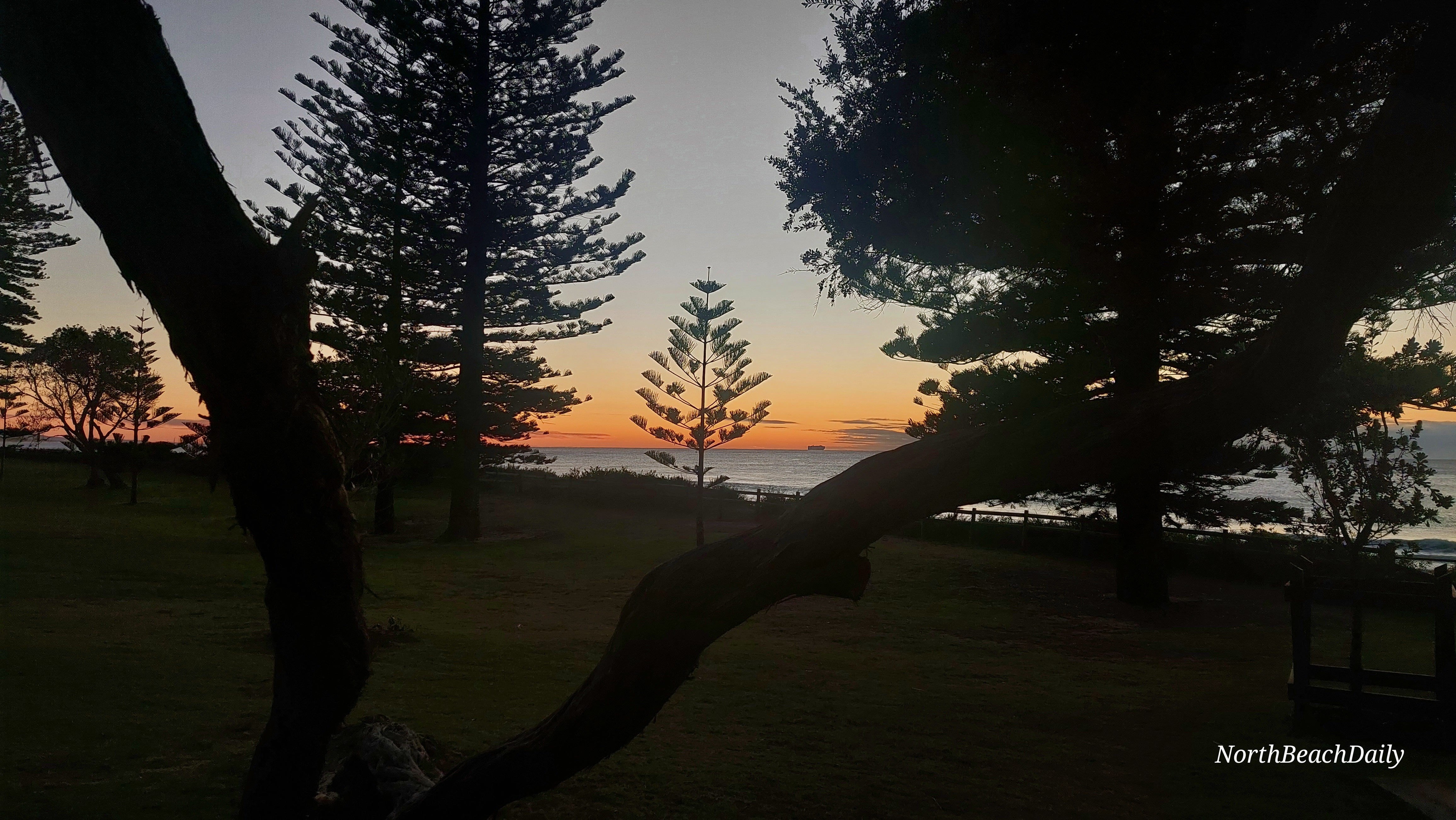 Wednesday 17th July 2024 North Beach Daily