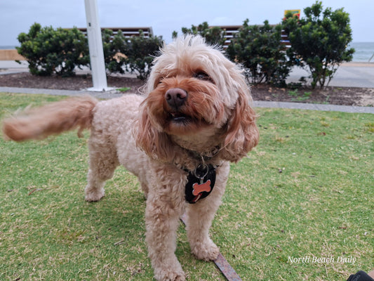 Sunday 7th December 2025