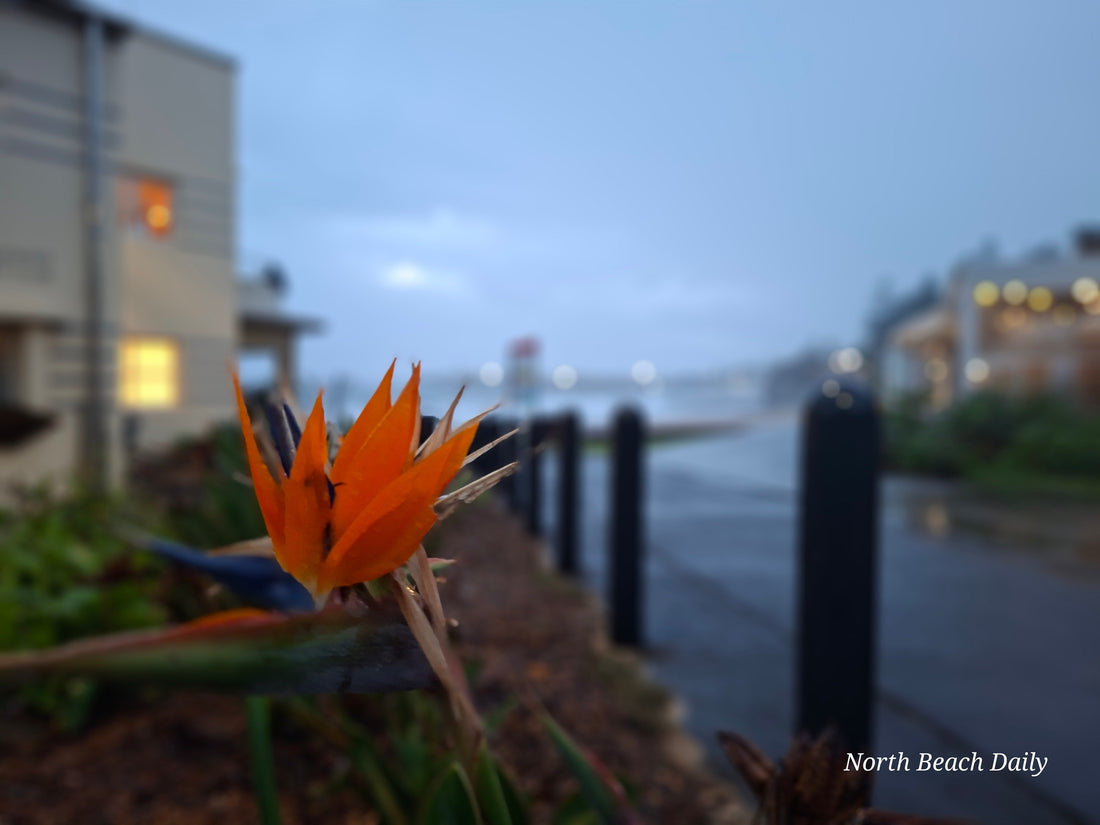 Tuesday 3rd March 2026