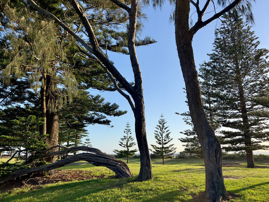 Thursday 18th December 2025