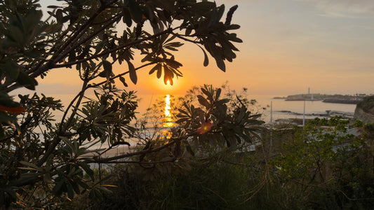 Wednesday 11th February 2026