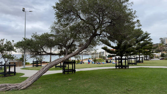 Friday 13th February 2026