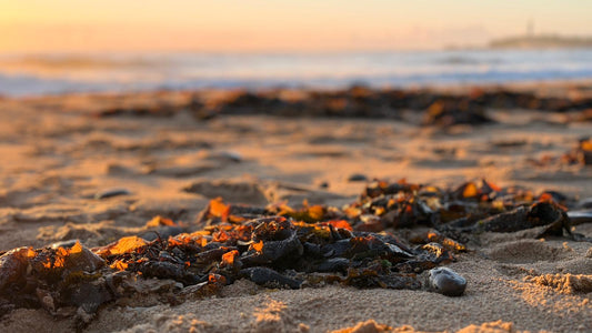 Tuesday 17th February 2026