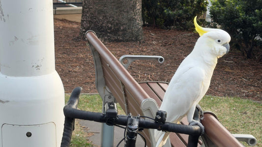 Thursday 23rd April 2026