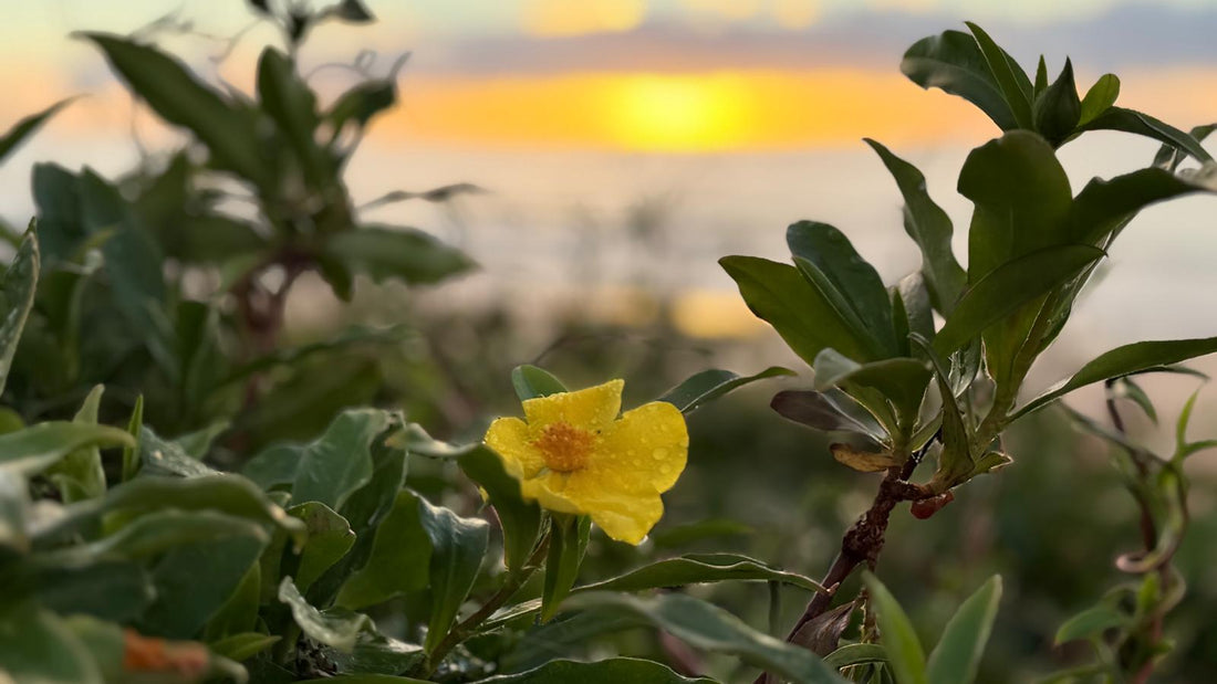 Thursday 30th April 2026