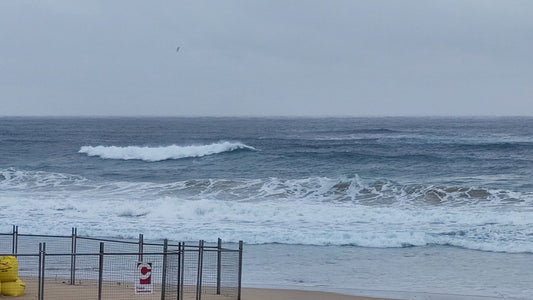 Getting out for exercise? Take your board or fins